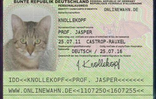 pass_jasper