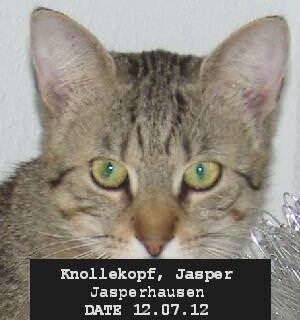 Jasper arrested