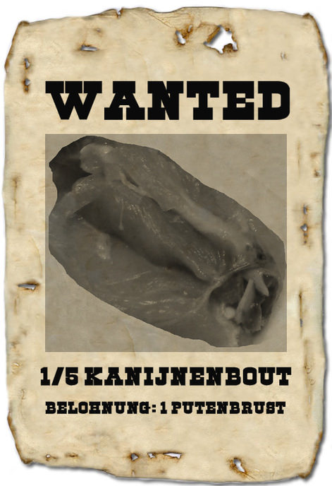 wanted_kaninchen