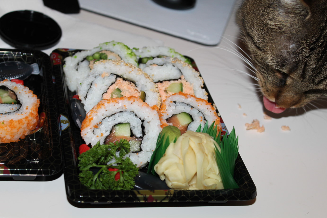 Jasper: Sushi für die Katz