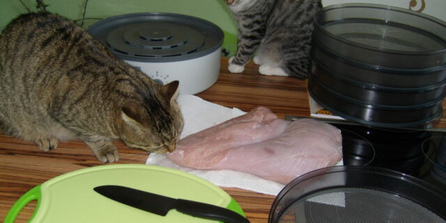 Linus: Fleischtag! Aber was soll denn das Kräuterzeugs hier?