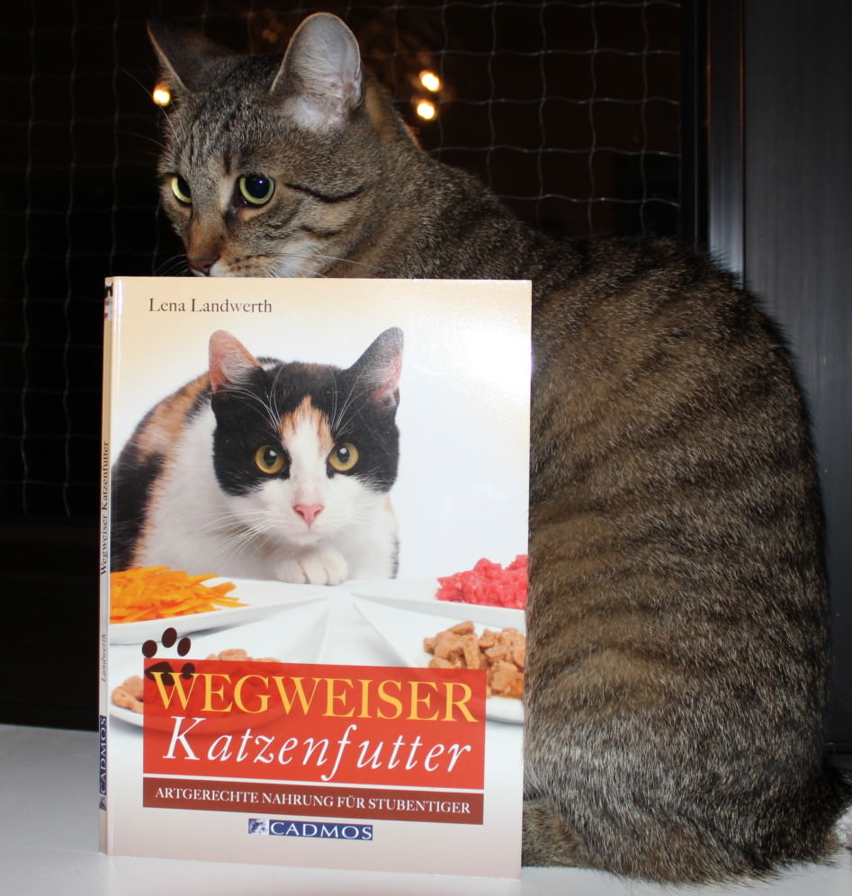 LiJaLu: Buchrezension “Wegweiser Katzenfutter” von Lena Landwerth