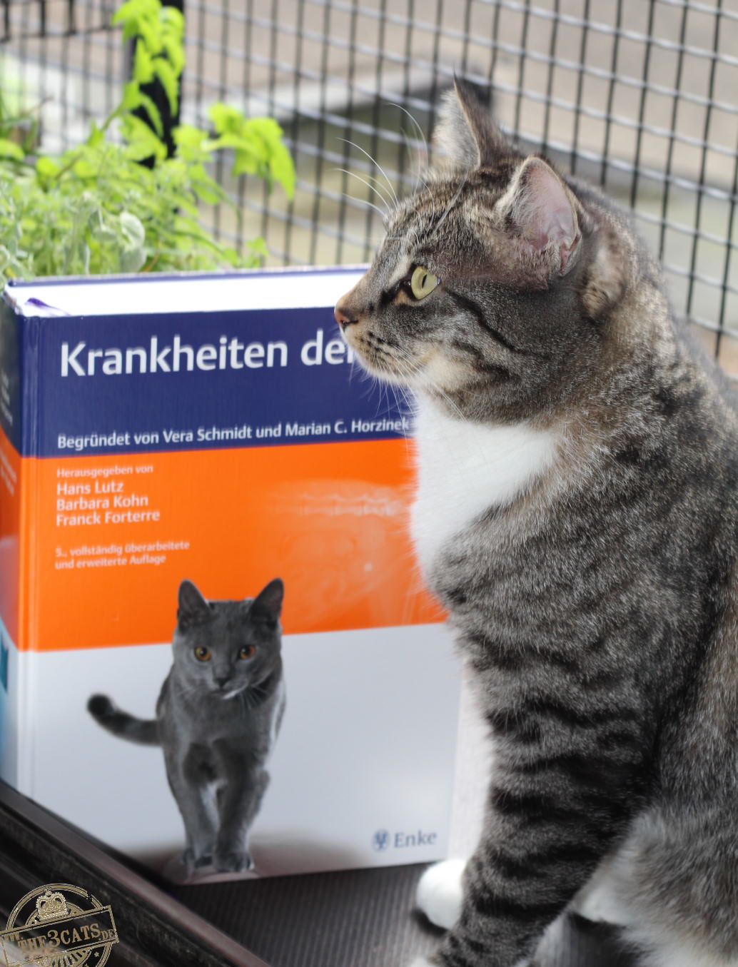 Jasper: Buchrezension *Krankheiten der Katze* – Enke Verlag