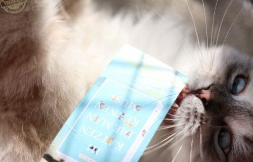_the3cats_2016_03_26_5398